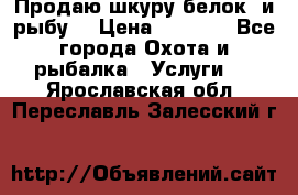 Продаю шкуру белок  и рыбу  › Цена ­ 1 500 - Все города Охота и рыбалка » Услуги   . Ярославская обл.,Переславль-Залесский г.